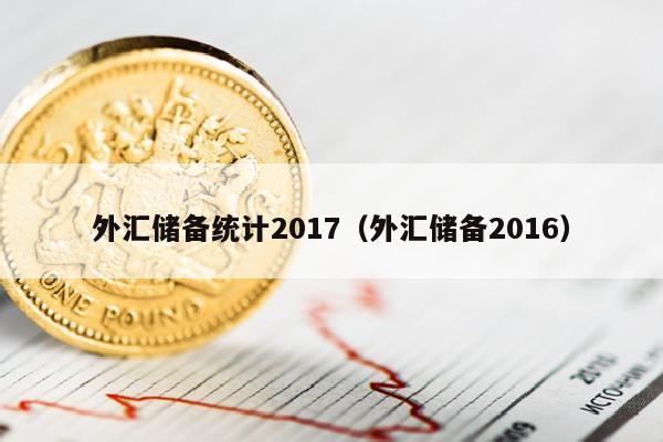 外汇储备统计2017（外汇储备2016）