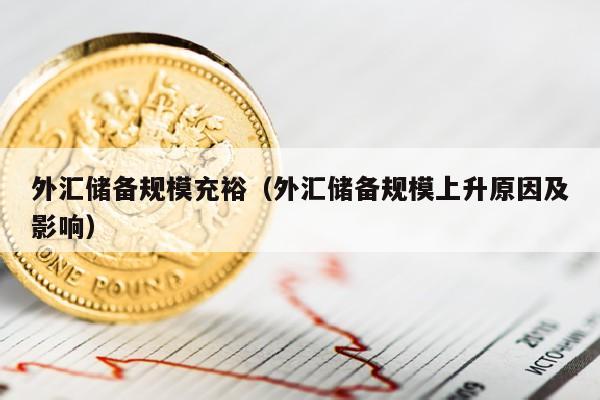 外汇储备规模充裕（外汇储备规模上升原因及影响）