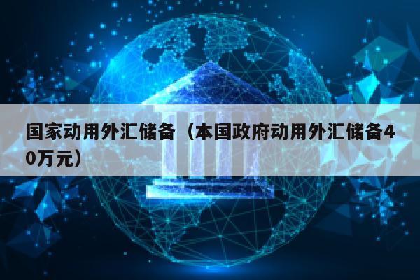 国家动用外汇储备（本国政府动用外汇储备40万元）