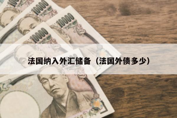 法国纳入外汇储备（法国外债多少）