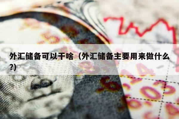 外汇储备可以干啥（外汇储备主要用来做什么?）