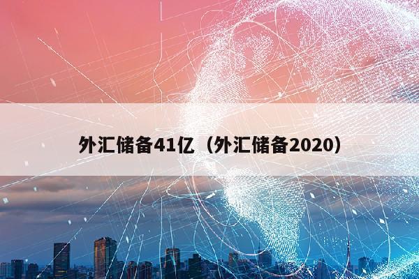 外汇储备41亿（外汇储备2020）