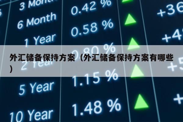 外汇储备保持方案（外汇储备保持方案有哪些）