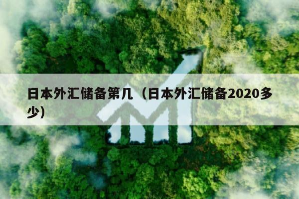 日本外汇储备第几（日本外汇储备2020多少）