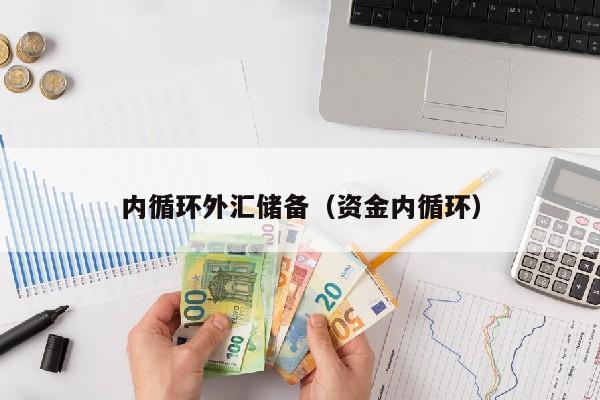 内循环外汇储备（资金内循环）