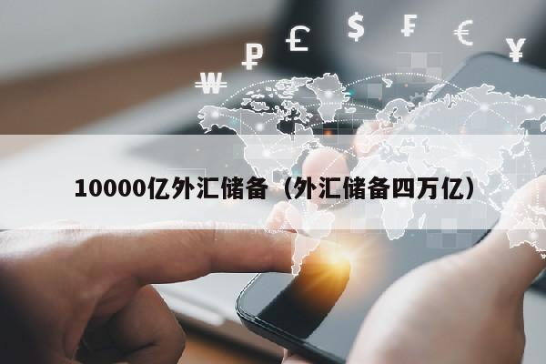 10000亿外汇储备（外汇储备四万亿）