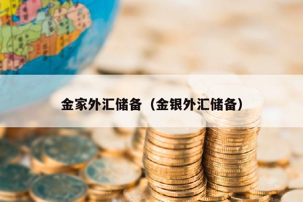 金家外汇储备（金银外汇储备）