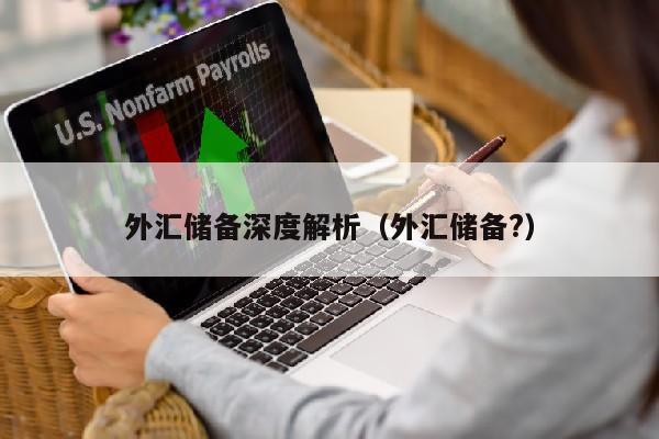 外汇储备深度解析（外汇储备?）